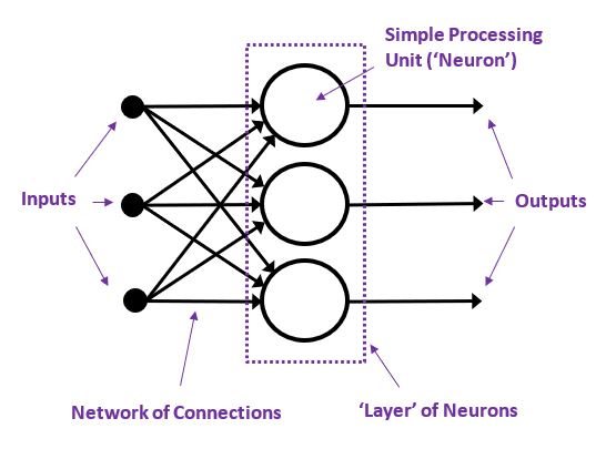 the basic neural net